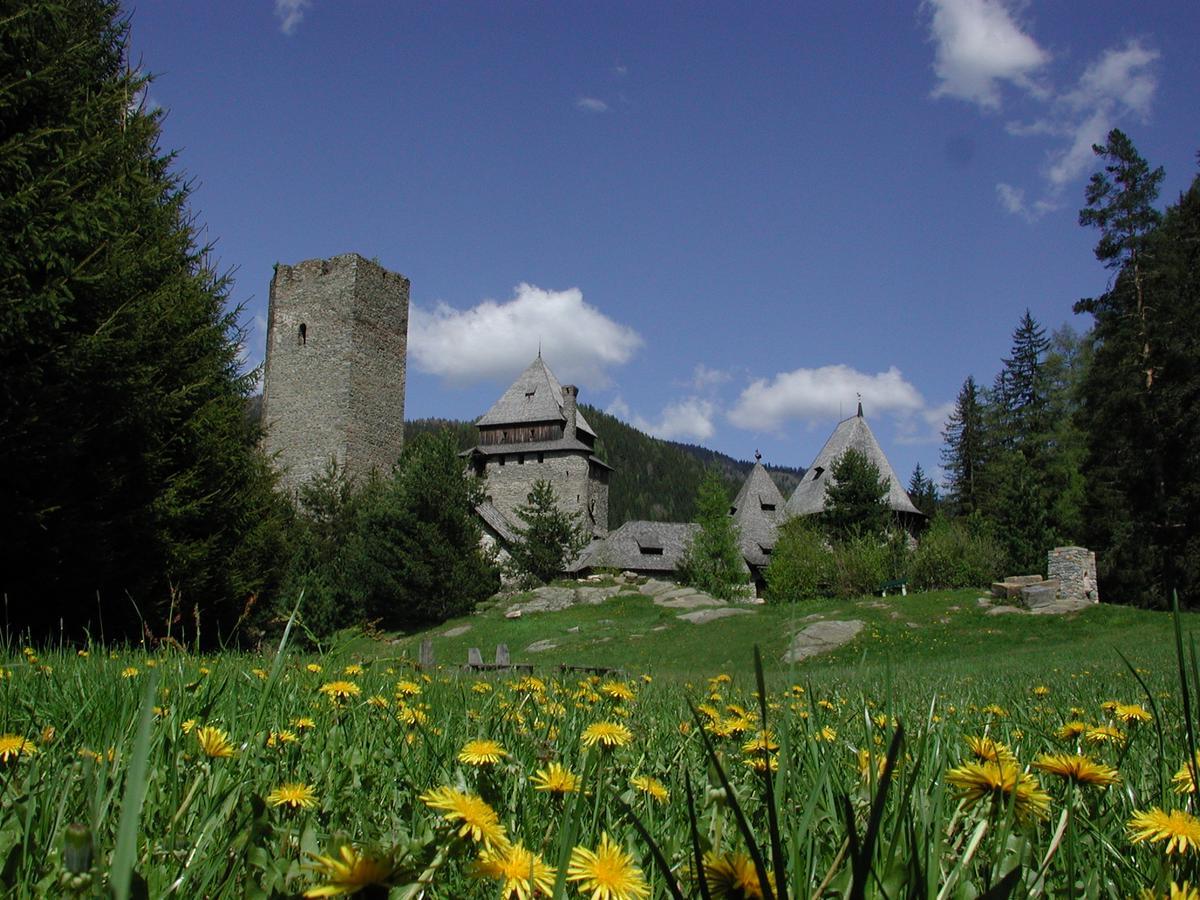 Ramingstein Burg Finstergrunホステル エクステリア 写真